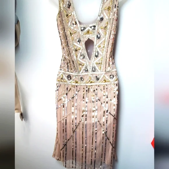 Frock And Frill Beaded Mini Dress - Picture 7 of 8